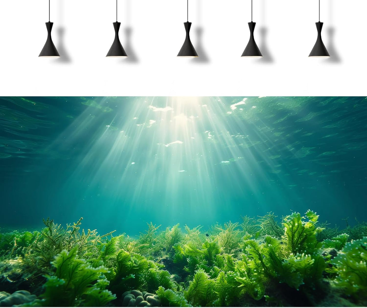 Deep Ocean Fish Tank Background Under The Sea Aquatic Plants Aquarium Background Underwater Corals Sunray Terrarium Backgrounds Tropical Fish Ocean World Aquarium Backgrounds Decorations 48x18in