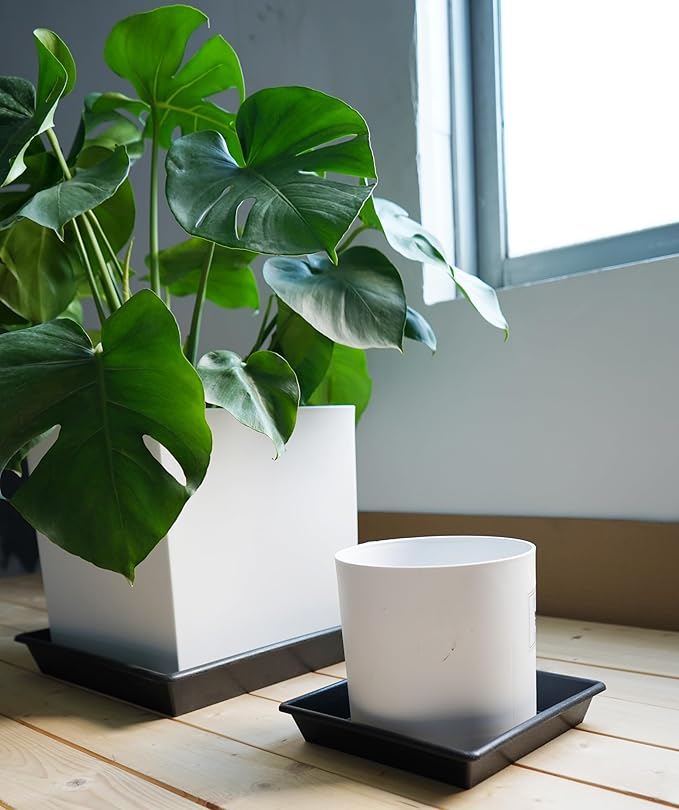 Square Plant Saucer 5 Pack 8 10 12 14 16 18 20 Inch, Plant Trays for Pots Heavy Duty Plastic Plant Saucers for Indoors Outdoors, Flower Pot No Holes Plant Drip Trays