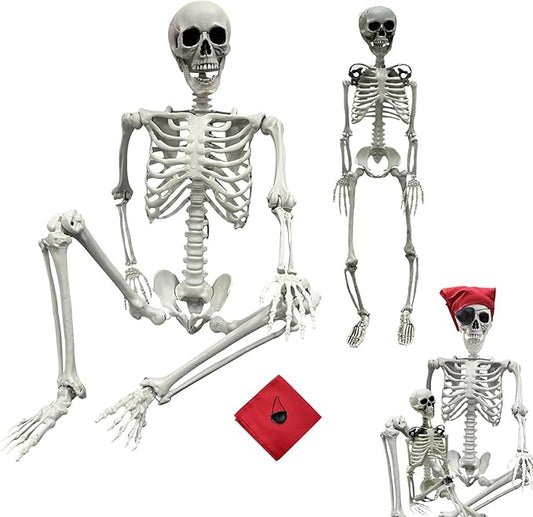 5.4ft/165cm Halloween Skeleton - Life Size Skeleton Full Body Realistic Human Bones with Posable Joints for Halloween Pose Skeleton Prop Decoration (5.4Ft&3Ft)