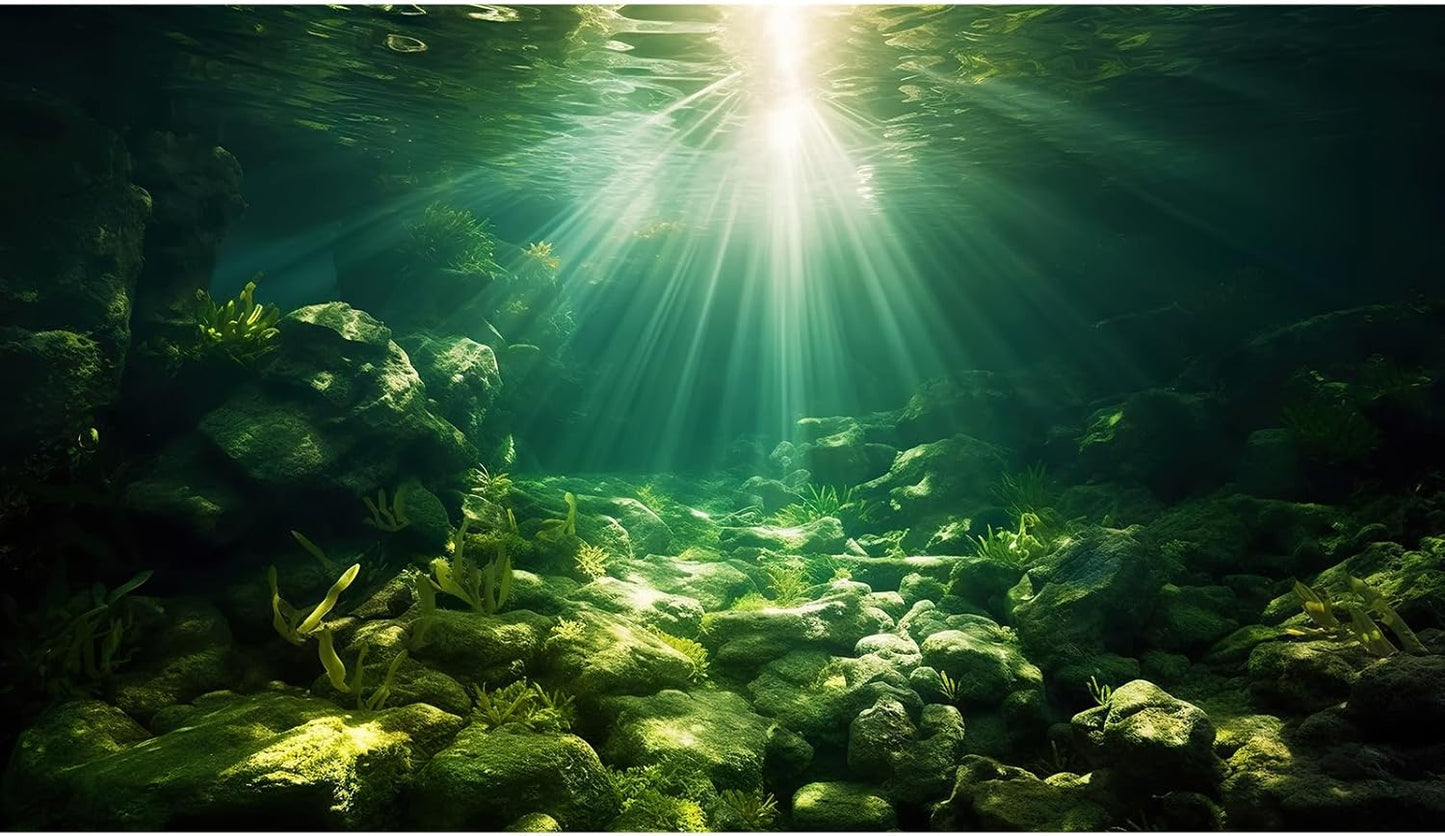 Underwater Sunray Aquarium Background Deep Ocean Rock Cave Fish Tank Background Under The Sea Coral Reef Aquarium Backgrounds Ocean Floor Tropical Fish Terrarium Backgrounds 72x18in