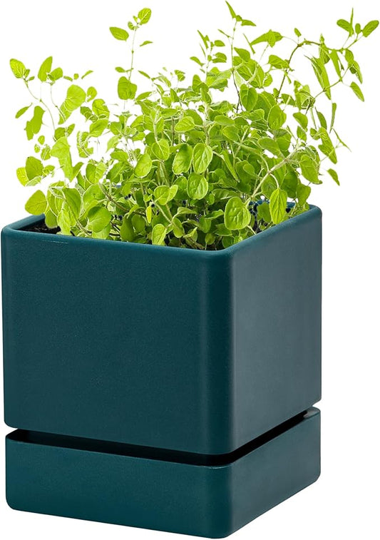 4 Inch Herb Planter Pot, Plastic Planter with Drainage Holes and Saucer, Modern Decorative Gardening Pot for Indoor Plants, Flowers, Herbs, Succulents, Green, Set of 1, 76-Y-C-1