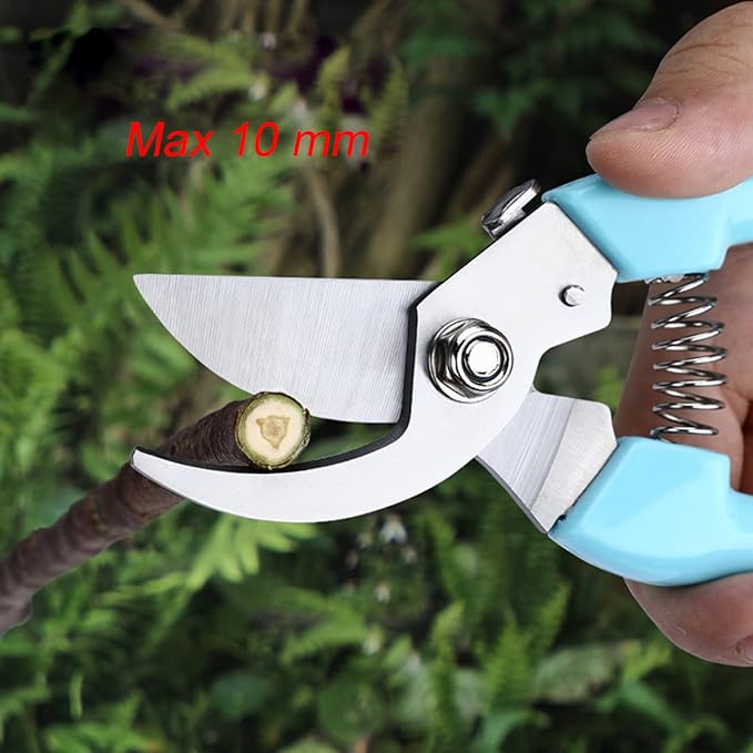 Curve Gardening Scissor with Sharp Stainless Steel Blade Garden Shears for Cutting Flowers Trimming Plants of Yard Florist Flower Rose Herb Hedge Bonsai and Fruits Picking (Black Handle)