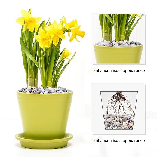 5 lbs Pea Gravel for Plants, Aquarium, Fish Tank, 3/8 inch Decorative Pebbles for Indoor Plants, Succulent, Bamboo, Vase, Drainage Rocks for Potted Plants, Top Dressing, Mixed Color