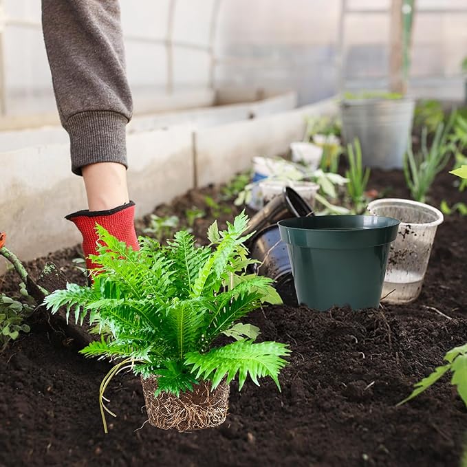 50 Pack 6 Inch Nursery Pots, Planting Grow Plastic Flower Pots, Thick Planters with Drainage Holes for Outdoor/Indoor Plants Succulent Herb (Green)