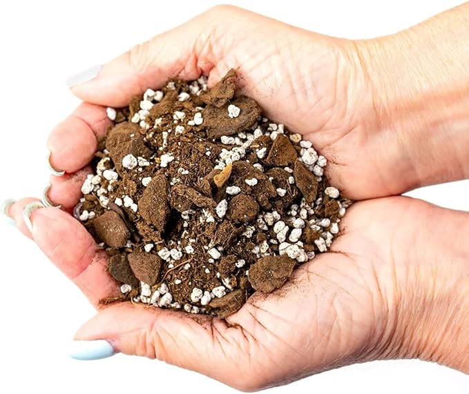 Palm Tree Potting Mix - The Ultimate Soil for Strong and Healthy Palms - Top Choice for Palm Tree Growers [4 Quart Bag]