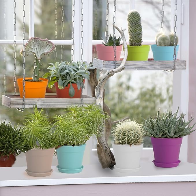 4 inch Plant Pots, 28 Pack Small Plastic Planters with Drainage Holes and Saucers for Flowers Plants, Succulents, Seed Starting Pots, Colorful