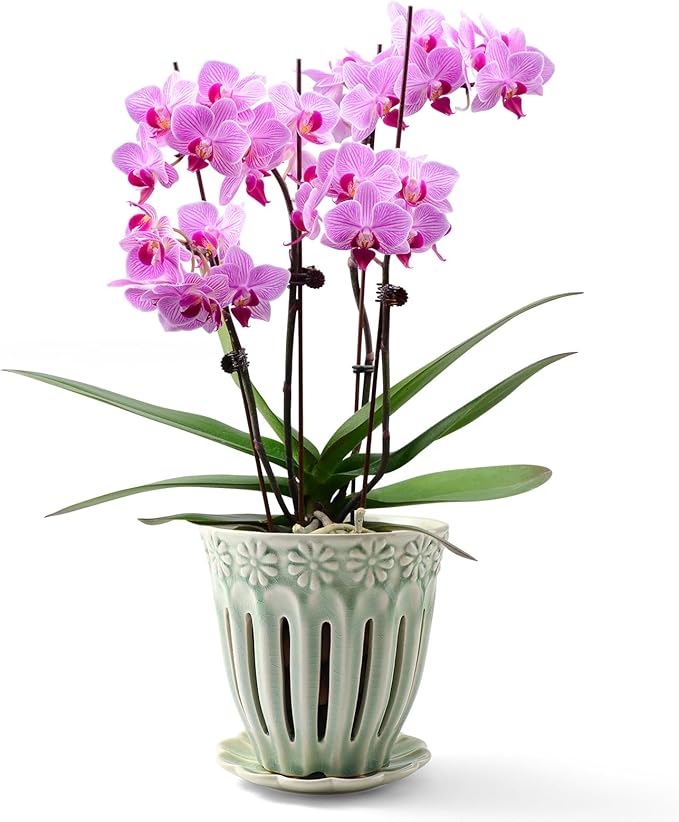 5" Ceramic Orchid Pots with Holes | Crackle Glazed Orchid Pot with Drainage and Separate Saucer | Ideal Plant Pot for Repotting Orchids and Other Flowers(Green)