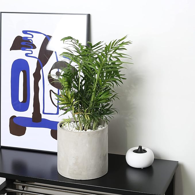 Plant Pots - 5.5 inch Cement Planters Indoor - Modern Grey Flower Pot with Drainage Hole - Home Office Decor