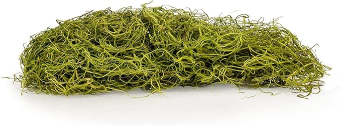 Premium Spanish Moss in Spring Green| Natural Preserved - 20 Quart - Great Ground Cover - Filler for Potted Plants - by GARDENERA (4 Bags of 5 Quart)