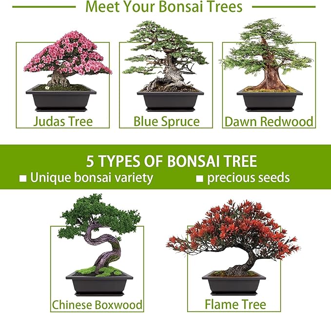 Bonsai Tree Kit with Complete Plant Growing Tools, Grow in Pot Indoor Bonsai Tree Starter Kit, Home Gardening DIY Gift for Adult
