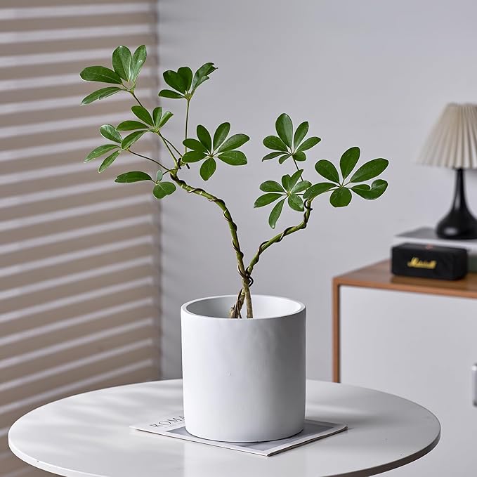 8 Inch Pot for Plants, Large Cement Planter with Drainage Hole, Mid-Century Modern Concrete Flower Pots for Home Decor, Office & Outdoor (White)