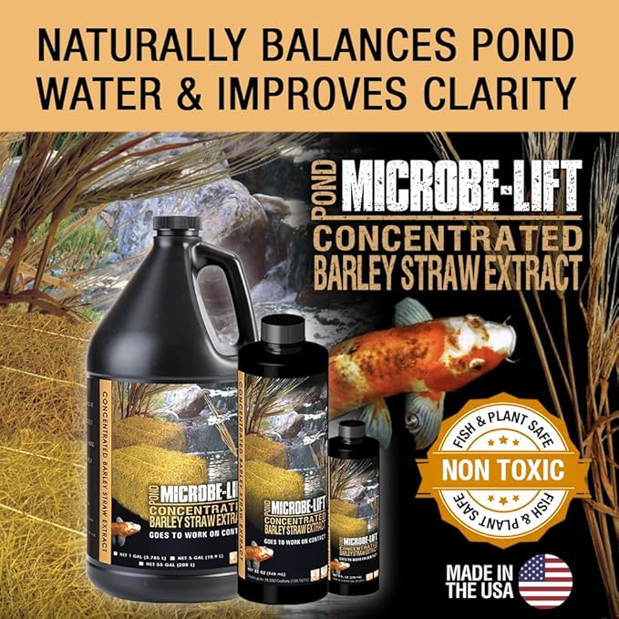 MICROBE-LIFT MLCBSE250 Concentrated Barley Straw Extract Conditioner for Ponds and Outdoor Water Garden, Safe for Live Koi Fish, Plants, and Decorations, 8 Ounces