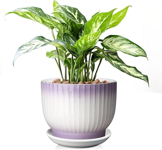 8 Inch Plant Pot, Ceramic Planter with Drainage and Saucer, Ceramic Pots for Plants, Indoor Plant pots,Ceramic Flower pots(Purple + White, Plants NOT Included)