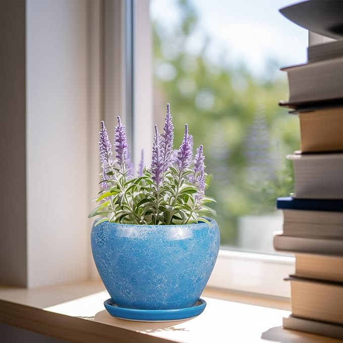 6 Inch Plant Pot - Ceramic Planter Pot with Drainage Hole and Saucer, Glaze Succulent Pot Modern Round Flower Pot for Indoor Plants, Blue