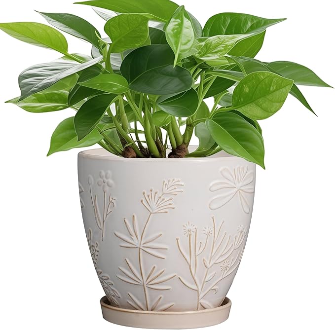 6 Inch Ceramic Plant Pot for Indoor Plants Outdoor Round Planter Flower Pot with Drainage Hole and Saucer for Home Garden Office Decor White
