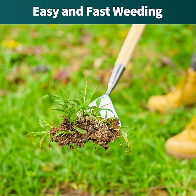 Berry&Bird Dutch Hoe for Weeding，63'' Stainless Steel Garden Weed Hoe with Long Wooden Handle,Heavy Duty Scuffle Hoe Manual Weeder Tool for Gardening Moss Removal Cutting Grass Soil Loosening & Edging