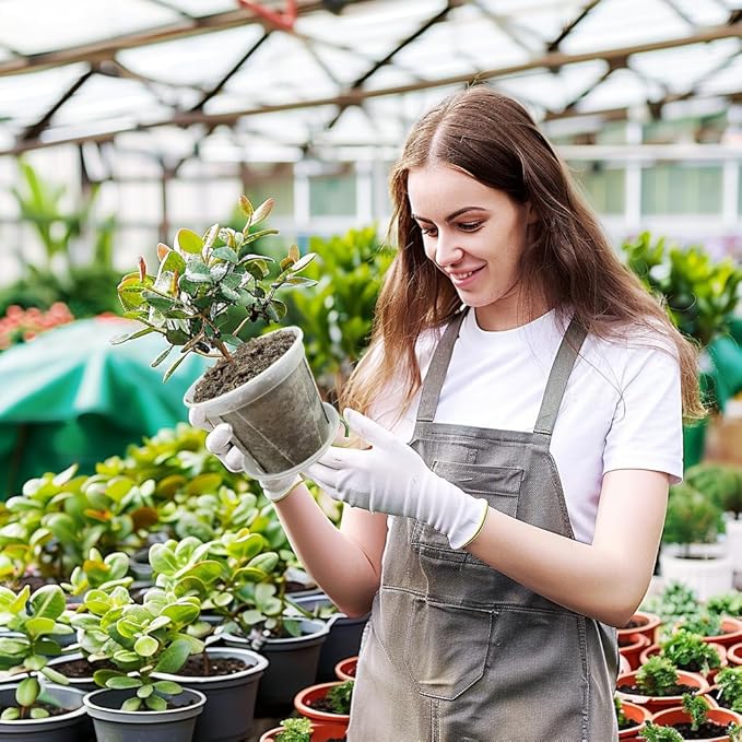 24 pcs 5/6 inch Clear Nursery pots for Plants,Thick Plastic Clear Plant pots with Drainage Holes and Saucers for Orchids,Succulents etc,Outdoor or Indoor use