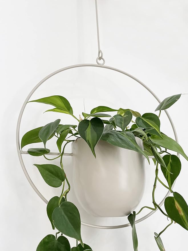 Boho White Metal Plant Hanger,Metal Wall and Ceiling Hanging Planter, Modern Planter, Mid Century Flower Pot Plant Holder, Minimalist Planter for Indoor Outdoor Home Decor…