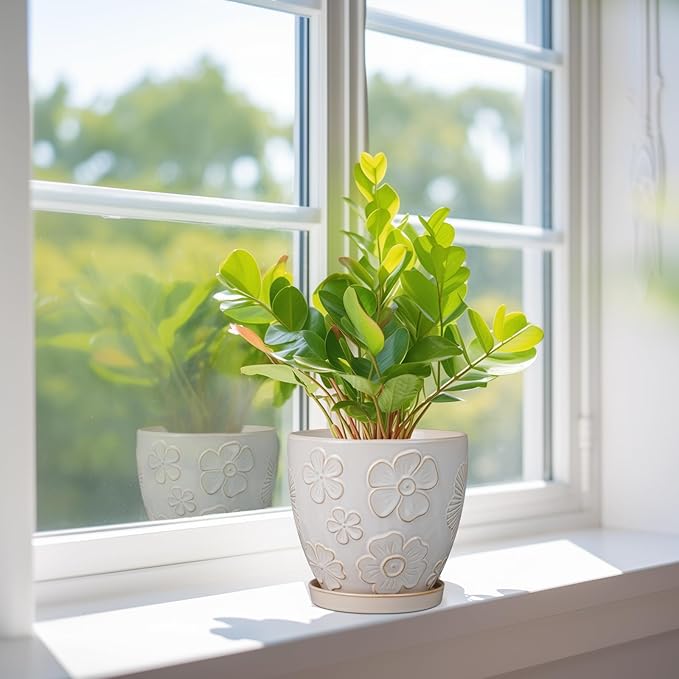 6 Inch Plant Pot with Drainage Hole and Saucer Ceramic Planter for Indoor Plant Flower Pot for Orchid Succulents Plants White