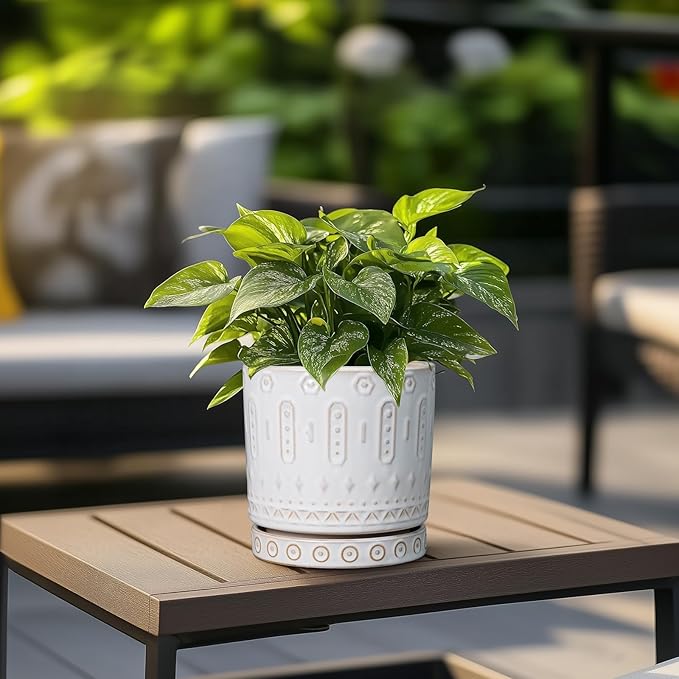 Pot for Plants 6 Inch - Ceramic Planter for Indoor Plants Decorative Plant Pot with Drainage Holes and Saucer Outdoor Flower Pot Modern Succulent Pot for Office Desk Decor White