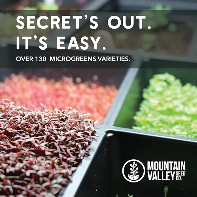 Radish Sprouting Seed - Red Arrow Variety - 5 Lb Bulk Seed - Heirloom Radish Sprouts - Non-GMO Sprouting and Micro Radishes