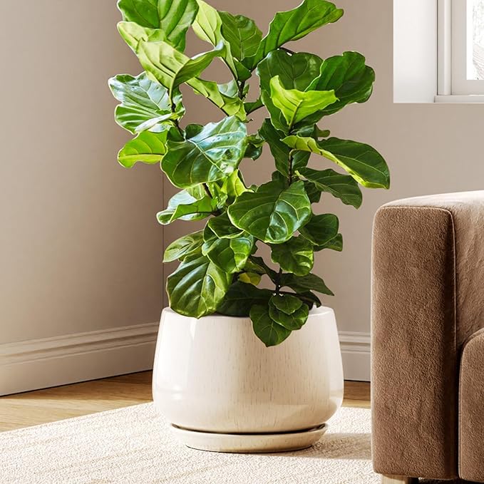LE TAUCI Ceramic Planters, 12 Inch Pots for Plants, Indoor Plant Pots with Drainage Holes and Saucers, Modern Planters Fit Mid Century Plant Stand, Flower Pots for Indoor Plants, Reactive Glaze Beige