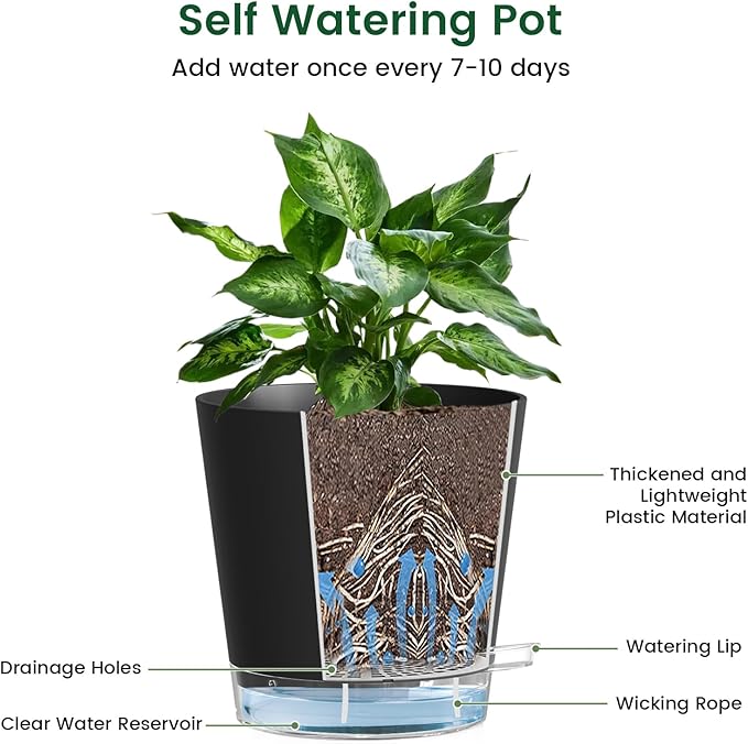 6 inch Self Watering Pots for Indoor Outdoor Plants, 6 Pack Flower Plant Pots with Drainage Holes and Clear Reservoirs, Visible Water Level, Plastic Planters with Wicking Rope, Black