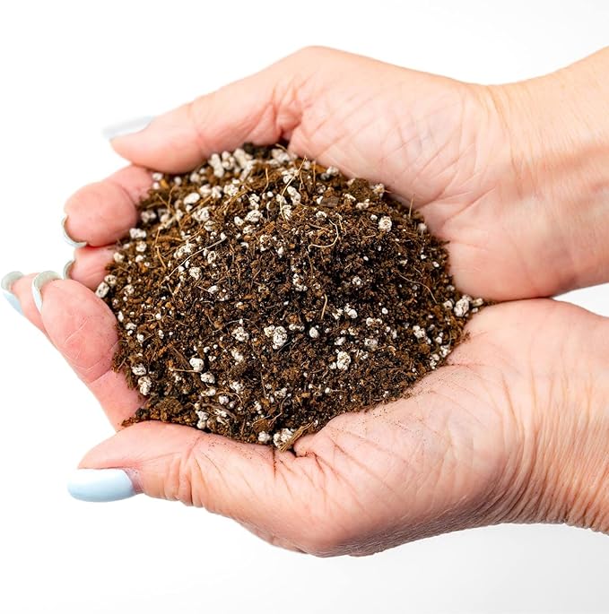 Professional Carnivorous Plant Soil - Ready to Use for Venus Flytraps, Sundews, Pitcher Plants, Butterworts | Peat Moss, Coco Coir, Perlite - 4 Quart Bag