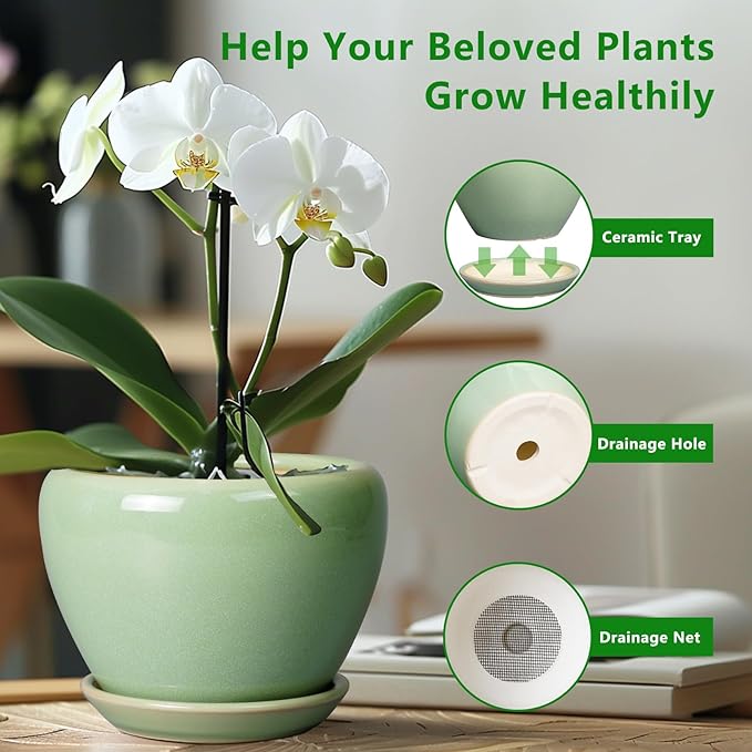 6 Inch Plant Pot - Ceramic Planter for Indoor Plants Round Planter Outdoor Plant Pot with Drainage Hole and Saucer Modern Flower Pot for Succulent Garden Green