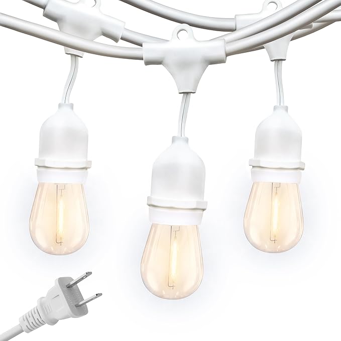 Brightech Ambience Pro Waterproof LED Outdoor String Lights, 48 Ft, Hanging, Dimmable Vintage Edison Bulbs, 15 Bulbs, 2W