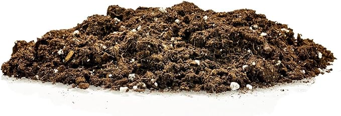 Money Tree Potting Soil, Soil Mix for Planting or Repotting Guiana Chestnut, Soil Blended to Properly Grow Money Tree Plants - (3 Quart Bag)