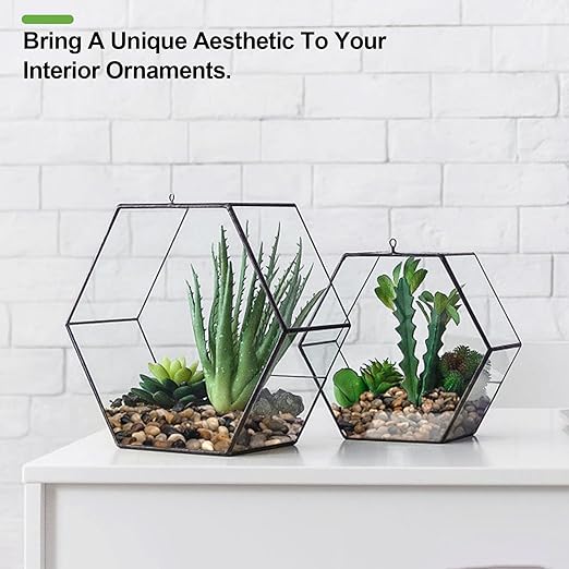 10 lbs Pebbles for Indoor Plants, Succulent, Bamboo, Vase, 3/8" Plant Rocks for Pots Indoor, Small River Rocks Decorative Pea Gravel, Highly Polished