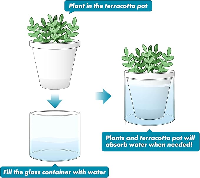 D'vine Dev 4 Inch Design Self Watering Planter for Indoor Plants, White Terracotta Pots with Cylinder Glass Cup, 37-X-A-2