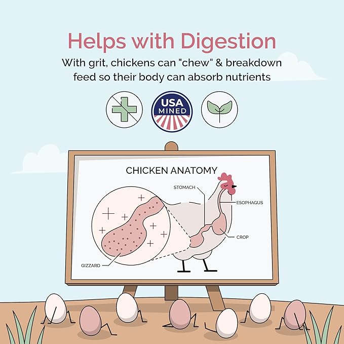 Chicken Grit for Layer & Grower Chickens Age 8-20+ Weeks - 100% Natural Mineral Chicken Grit Quartzite, Poultry Grit, USA Mined, 50 lbs