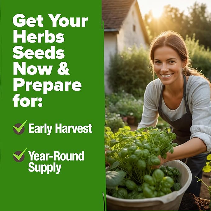 HOME GROWN 20 Herb Seeds for Planting 6,000+ Non-GMO Heirloom Seeds | Extra Large Variety Pack Herb Kit – Indoor Outdoor & Hydroponic | Culinary Seed Set | Grow Your Own Herbs | Gardening Gift