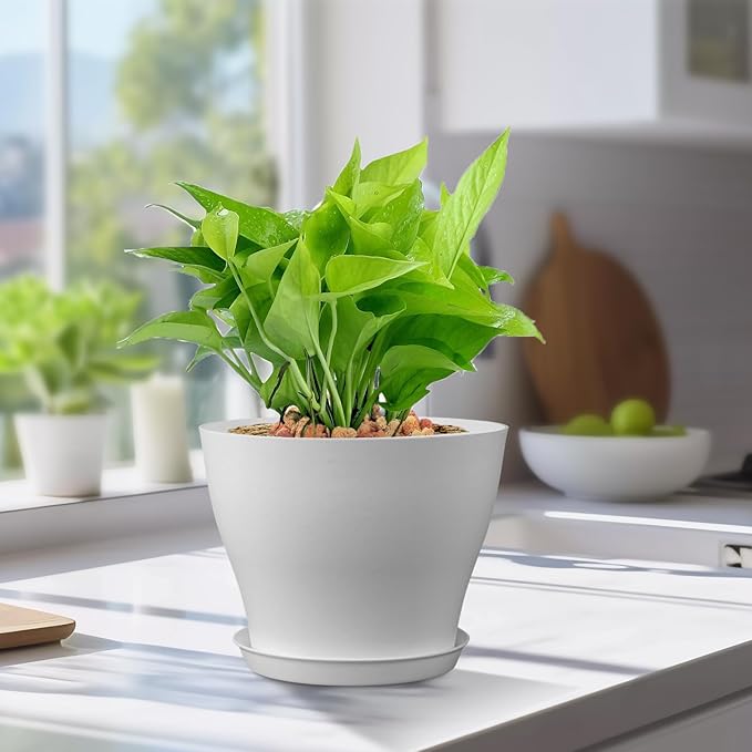 6 inch Plastic Nursery Pots, Seedling Pots, 16 Pack Plant Pots for Small Indoor Outdoor Plants, Flower Pots with Drainage Holes and Saucers, Decorative Planters for House Plants, White