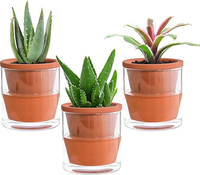 D'vine Dev 4 Inch Design Self Watering Pot for Indoor Plants, Terracotta Planter with Cylinder Glass Cup, Set of 3, 37-X-A-3