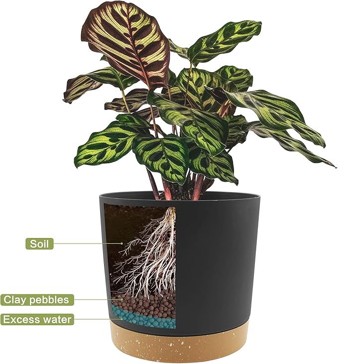 QCQHDU 6.5 inch Plant Pot, 2 Pack Planters for Indoor Plants with Drainage Holes & Saucer, Outdoor Flower Pots Home Garden Modern Decor