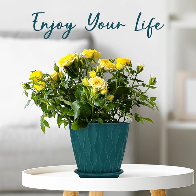 6 inch Plant Pots, 5 Pack Flower Pots Outdoor Indoor, Planters with Drainage Hole and Tray Saucer(Blue