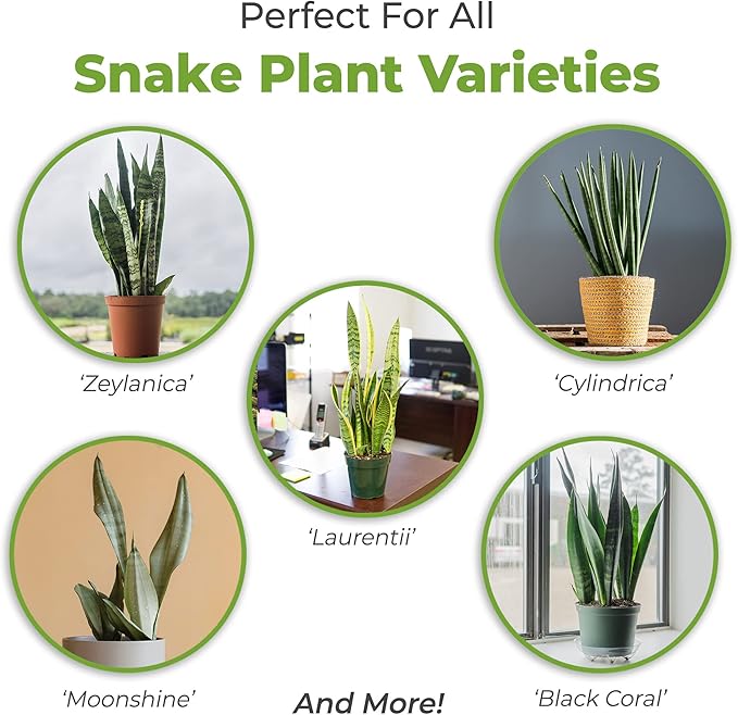 Perfect Plants Organic Snake Plant Soil in 4qt. Bag | Coco Coir Based Potting Mix Snake Plant Varieties