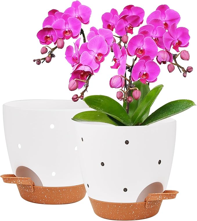 6 Inch Orchid Pots with Holes, 2 Pack Self Watering Planters for Orchids Plastic Orchid Pot Plant Flower Pots for Orchids Indoor Outdoor (White with Brown)