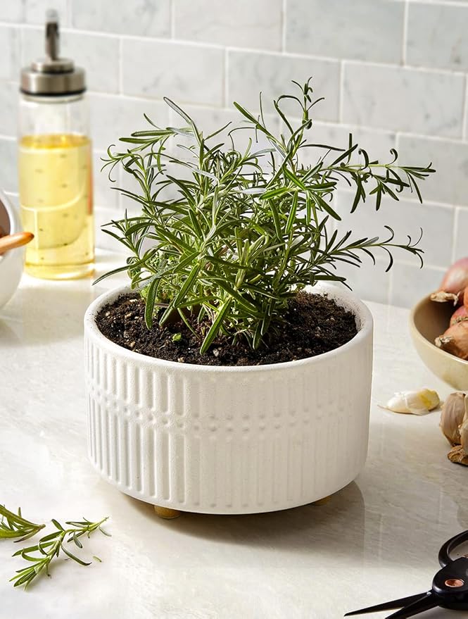 LE TAUCI Succulent Pots, 6.5+8 Inch Ceramic Indoor Plant Pot with Drainage Hole, Modern Round Decorative Flower Pot, Set of 2, Matte White