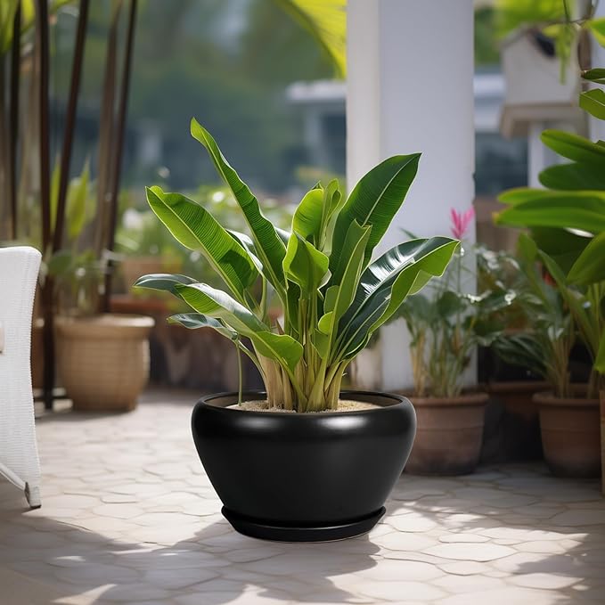 Ceramic Pot for Plants Large - 13 Inch Plant Pot Indoor with Drainage Hole and Saucer Round Planter Decorative Planter Outdoor Flower Pot for House Decor Balcony Black
