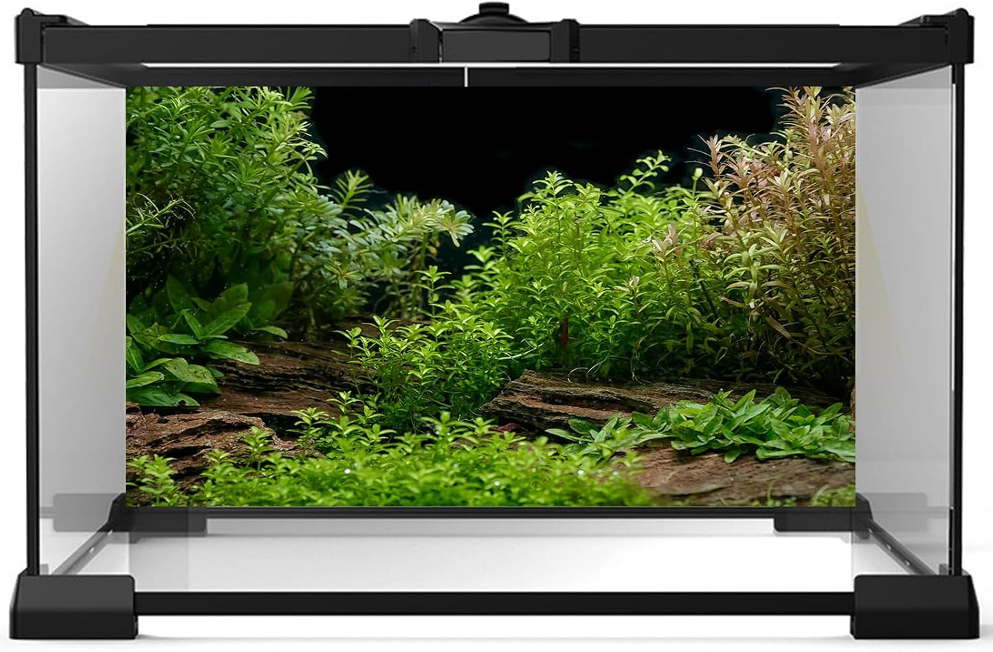 Aquarium Background Underwater Green Grass Leaves Stone Aquarium Backdrop Vivid and Fresh Green Aquatic Plant Stone River Bed and Lake Fish Tank Background Decor Vinyl 72x18in