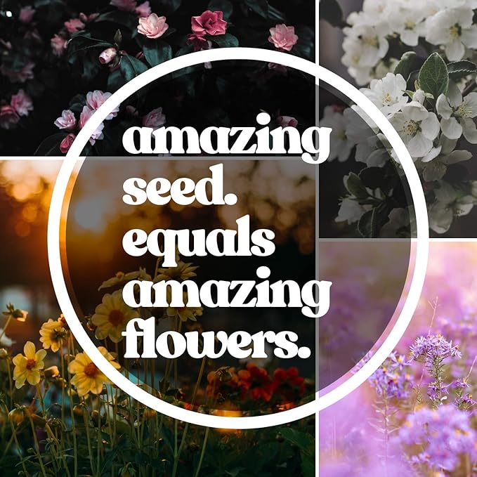 All Annual Wildflower Seeds Mix – 1 lb, 16,000+ Seeds – 21 Flower Varieties Including Poppy, Indian Blanket, Flax – Attracts Pollinators – Bulk Wildflower Seed for Planting