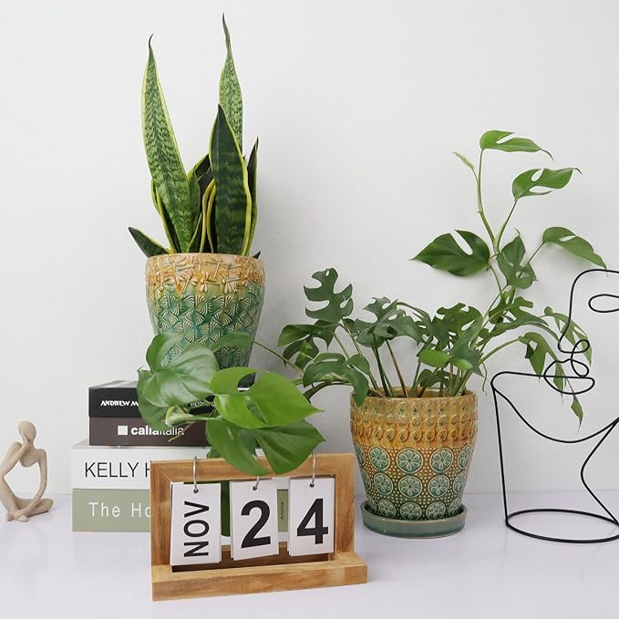 6 Inch Ceramic Planter with Drainage Hole and Saucer for Plants, Indoor-Outdoor Large Round Succulent Orchid Flower Pot, Set of 2