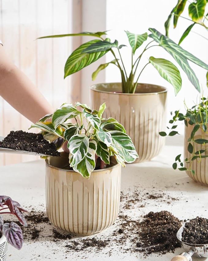 LE TAUCI Ceramic Planters, 8.3+6.9+5.7 Inch Plant Pots for Indoor Plants, Set of 3 Flower Pots with Drainage Holes, Round Planters Pot for Indoor House Plants, Reactive Glaze Cloud Cream