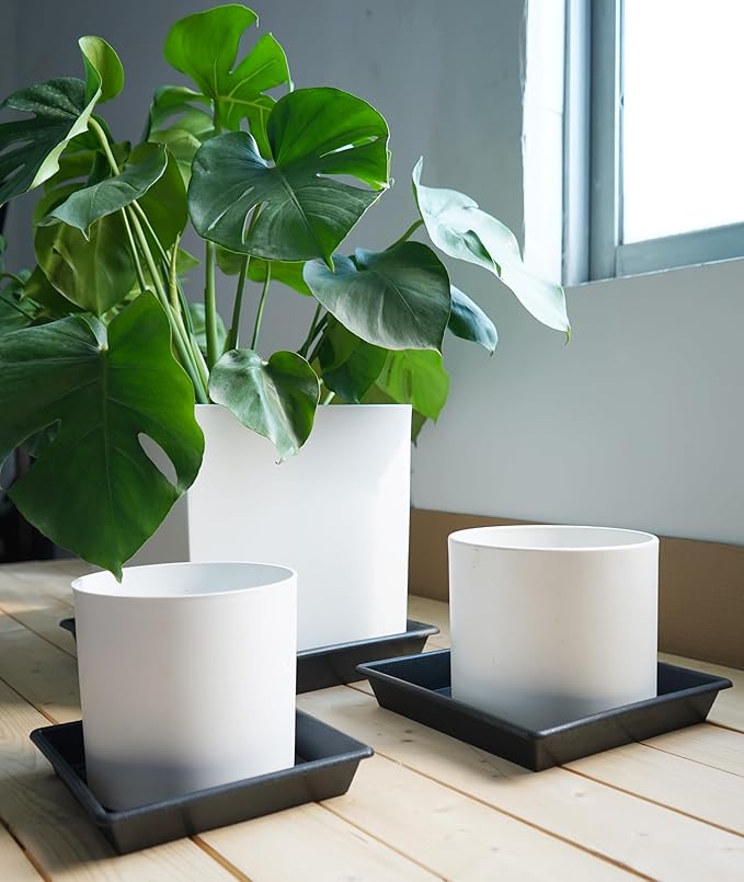 Square Plant Saucer 6 Inch 5 Pack6 8 12 14 16 18 20 Heavy Duty Plastic Plant Saucers for Indoors Outdoors, Plant Trays for Pots, Flower Pot No Holes Plant Drip Trays