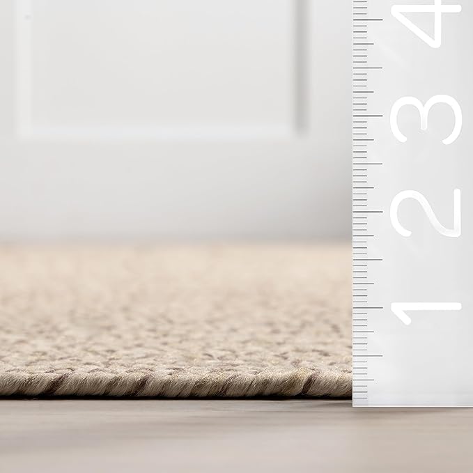 nuLOOM 2' x 3' Solid Hand Braided Indoor/Outdoor Area Rug, Pet-Friendly, High Traffic, Weather Resistant, for Patio, Balcony, Bedroom, Living Room, Dining Room, Wynn Tan