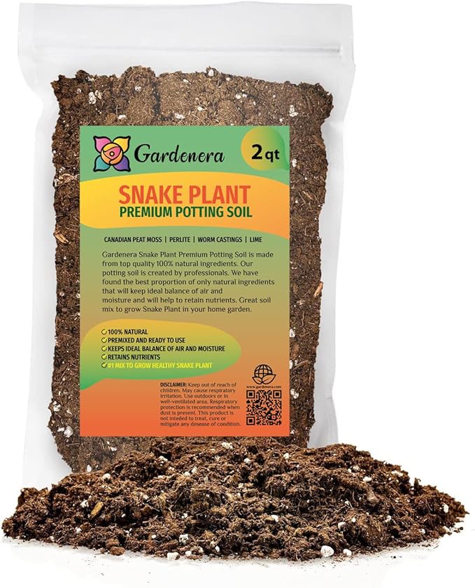 Premium Snake Plant Potting Soil Mix, Green Sansevieria Trifascatia Zeylanica Plants, Plant or Re-Pot Your Snake Plant - (2 Quart Bag)
